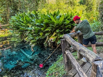 Hear an amazing story about the sacred spring.
