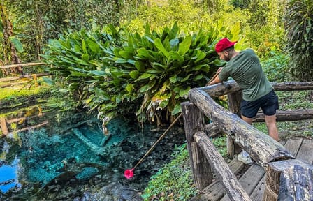 The Original Sticky Waterfalls with Host Annie (Private Tour)