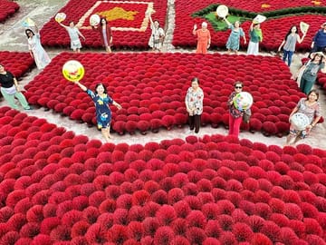Full Day Tour of Quang Phu Cau Village and Trang An, Ninh Bình