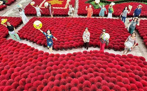 Full Day Tour of Quang Phu Cau Village and Trang An, Ninh Bình