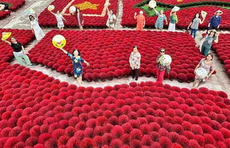Full Day Tour of Quang Phu Cau Village and Trang An, Ninh Bình