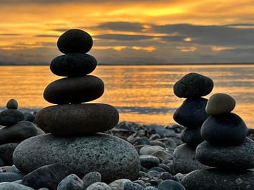 Vancouver Shore Excursion and City Sightseeing Tour