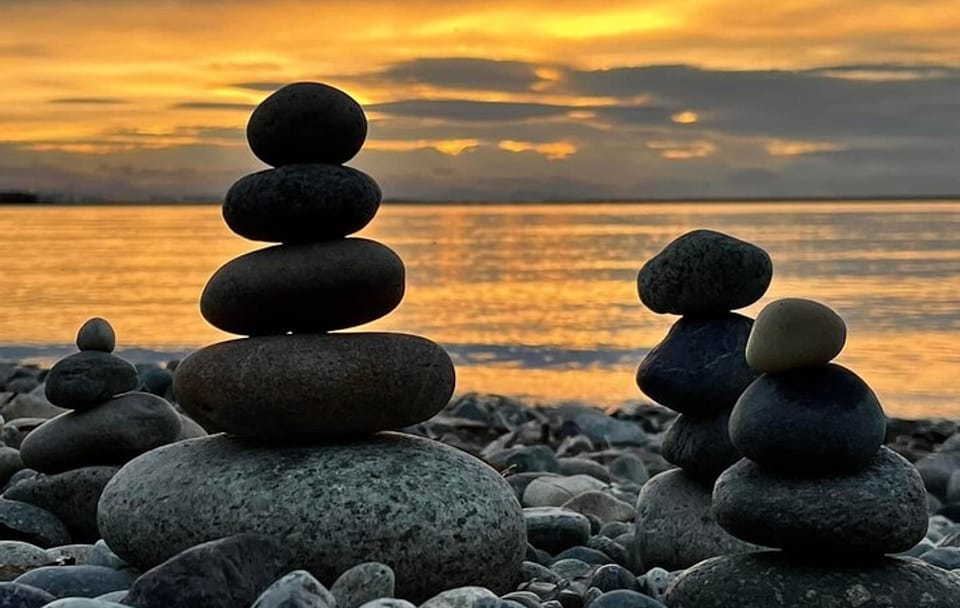 Vancouver Shore Exursion Cruise City Sightseeing Airport Drop off