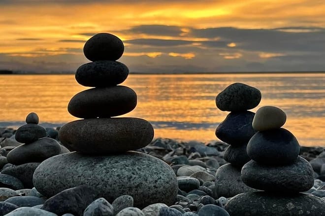 Vancouver Shore Exursion Cruise City Sightseeing Airport Drop off