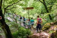 Hiking Lousios Gorge 3