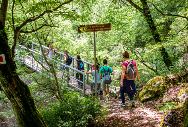 Hiking Menalon & Lousios Gorge 3