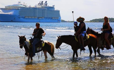 Horseback Riding and Beach Break in Flowers Bay, Roatán