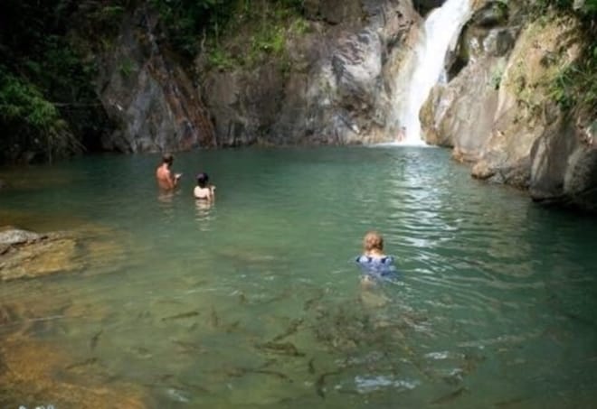 PHUKET-PHANG NGA: Bamboo Rafting, Elephant Bathing + Riding, Sea Turtle and activities choice 10