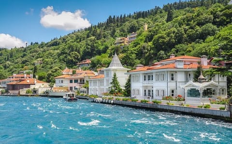 Princes Island Full-Day Tour From Istanbul
