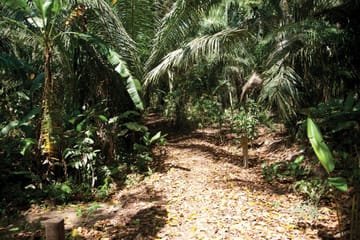 Hacienda Concepcion 4 Days, Short Break (On Request)