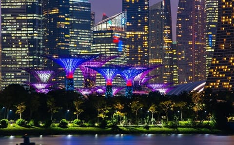 Singapore Gardens by the Bay Admission Skip-The-Line E-Ticket
