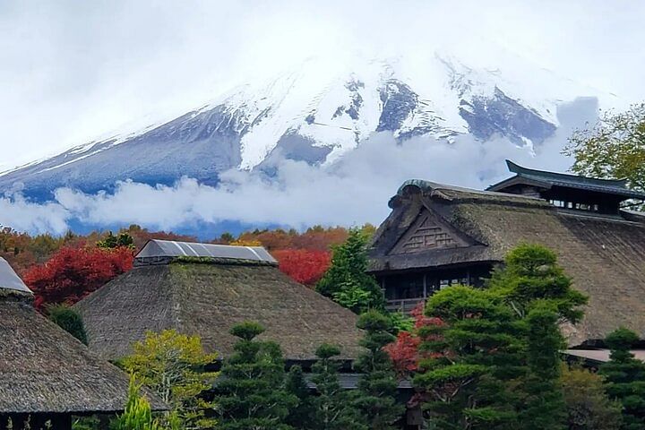 Mt. Fuji and Hakone Private Tour with Bullet Train Return