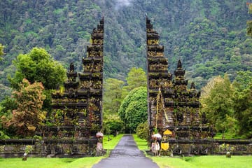 Sunrise Dolphin Watching and Waterfall Tour in North Bali