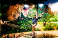 Art in Paradise, Chiang Mai 3D Art Museum 4