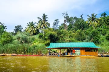 Taman Negara Nature Tour with Lata Berkoh Falls Visit