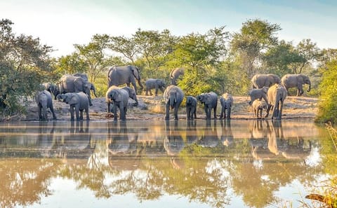 10-Day Classic Safari Adventure in Kenya and Tanzania