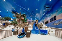 Snow Park Abu Dhabi Admission Ticket 10