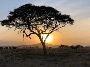 5-Day Safari and ATV Adventure in Arusha, Tanzania