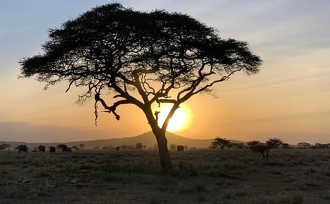 5-Day Safari and ATV Adventure in Arusha, Tanzania