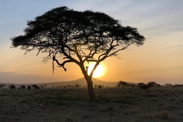 5-Day Safari and ATV Adventure in Arusha, Tanzania