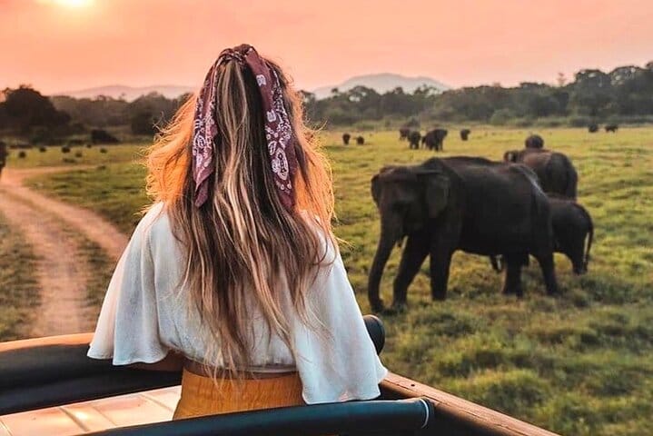 Sigiriya Rock Fortress and Cave Temples Day Trip