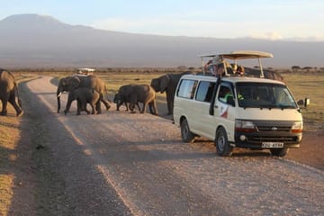 5day: Best of Kenya Big 5 Wildlife Safari to Amboseli & Tsavo West National Park