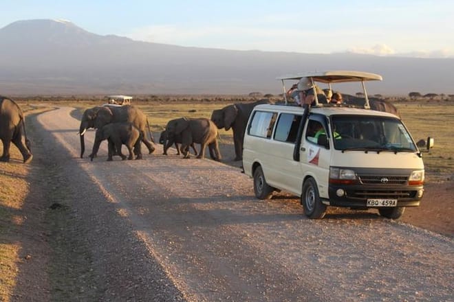 Amboseli game drive