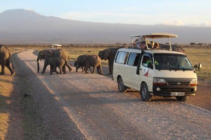 5day: Best of Kenya Big 5 Wildlife Safari to Amboseli & Tsavo West National Park