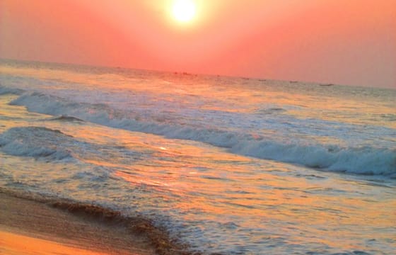 Konark and Chilika Lake: A Private Day Tour from Bhubaneshwar