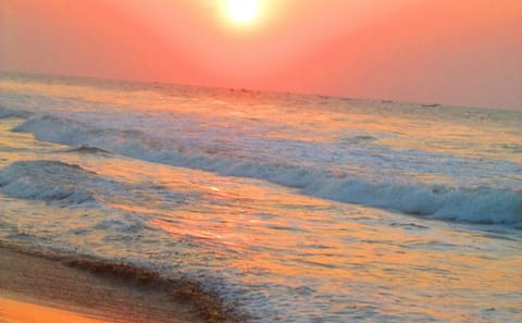 Private Day Tour of Konark Temple and Chilika Lake from Bhubaneswar