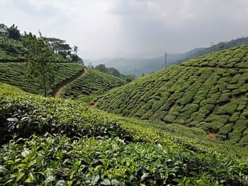 Private 3-Day Cultural Tour of Munnar from Madurai