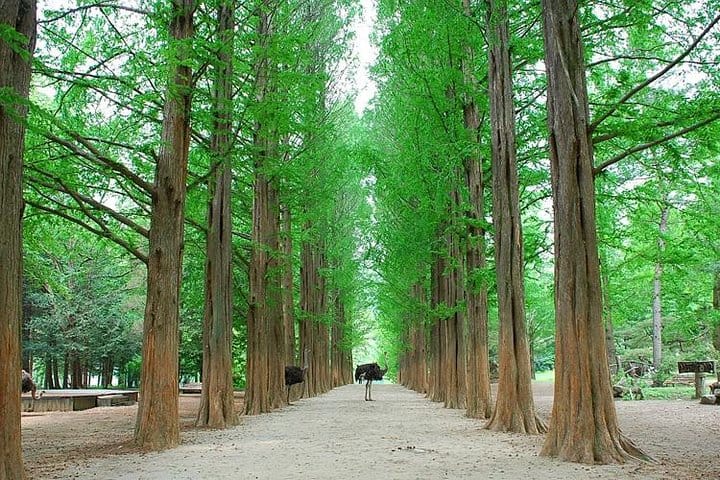 Nami Island