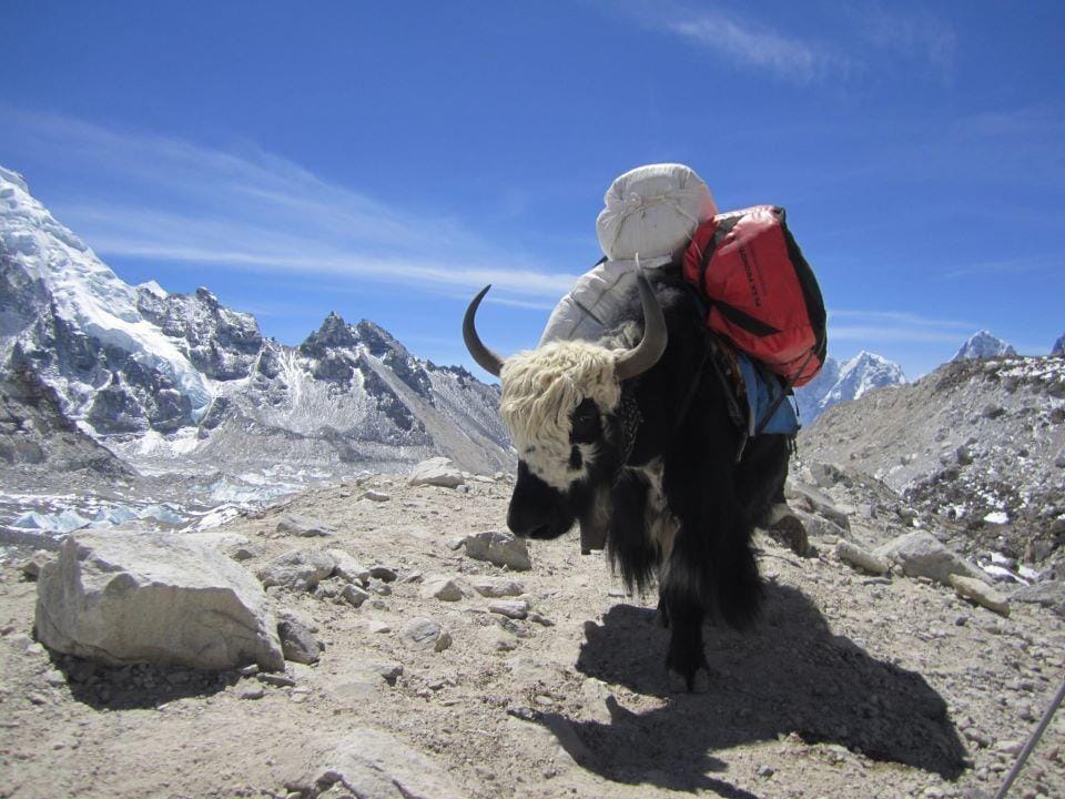 19 Days Mera Peak Climbing & Expedition – One Life-Changing Himalayan Adventure