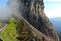 The Island Tour Of La Gomera - From Tenerife! 6
