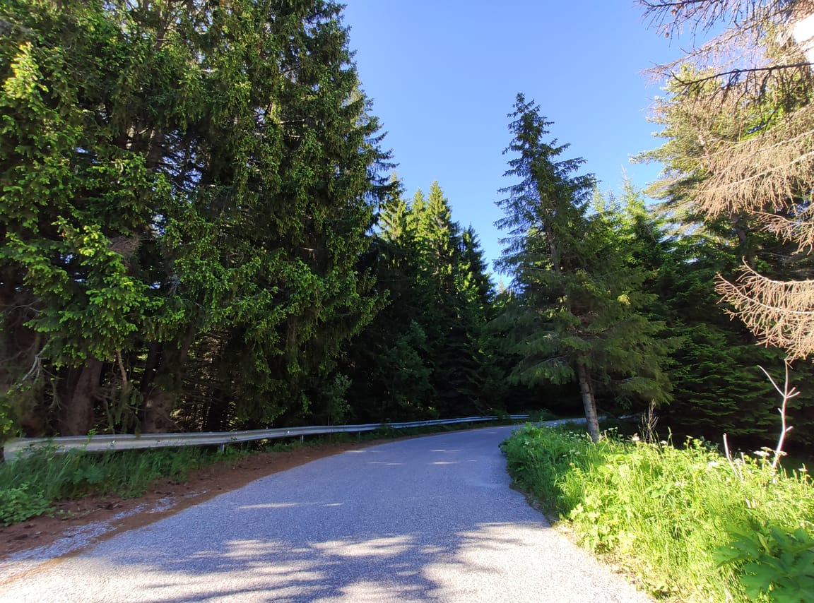 Private Full Day Cycling Tour in the Rhodope Mountains from Plovdiv 7