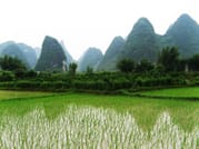 Private Day Tour to Yangshuo from Guilin: Yulong River, Li River Boat and More 2