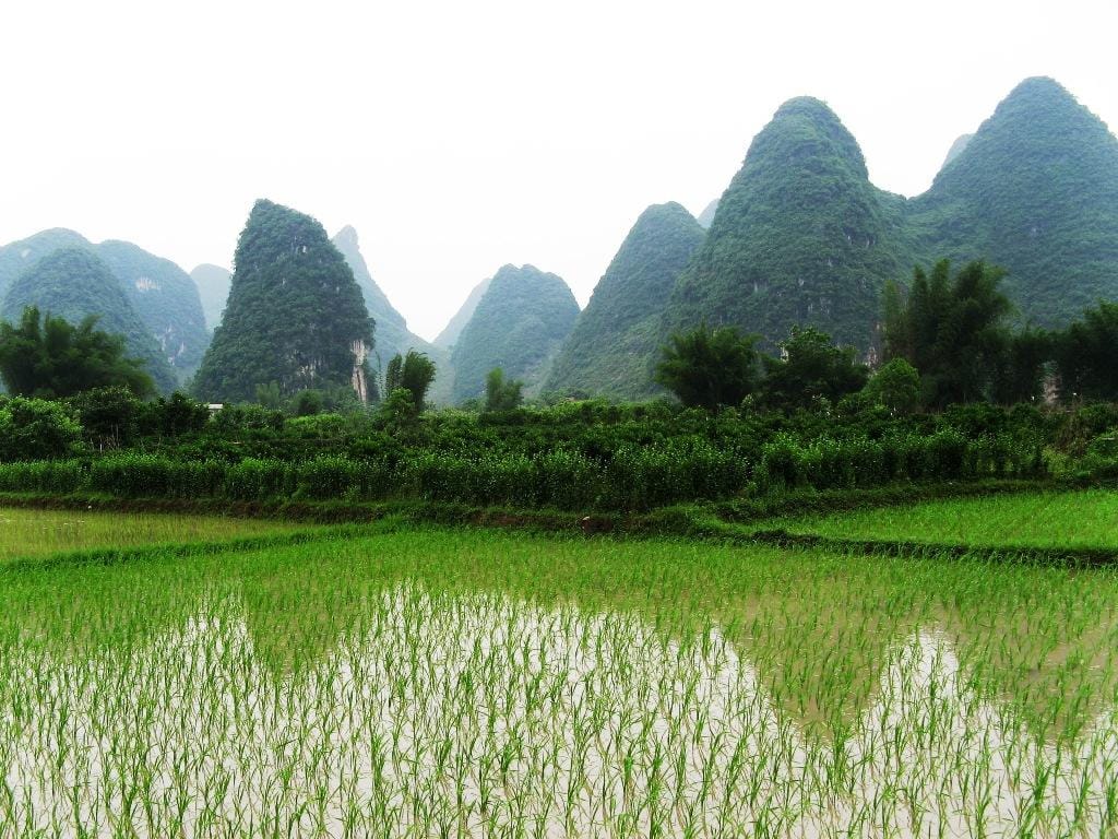 Private Day Tour to Yangshuo from Guilin: Yulong River, Li River Boat and More 2