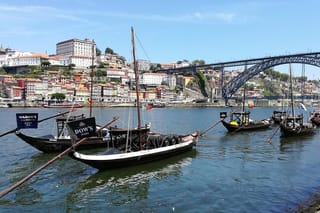Private Tour - Wine and History in Porto