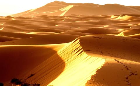 3-Day Desert Tour to Merzouga Dunes from Agadir
