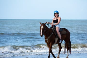 Horseback Riding on Sharm El Sheikh Beaches with Transfers