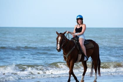 Horse Riding on the beach With Transfer From Sharm El Sheikh