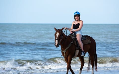 Horseback Riding on Sharm El Sheikh Beaches with Transfers