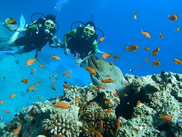 Discover the vibrant underwater world of Hurghada on an unforgettable scuba diving adventure in the Red Sea.