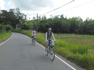 Cycling Through Paddy Fields and Villages in Galle