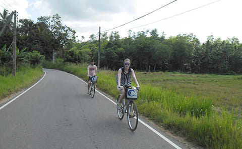 Cycling Through Paddy Fields and Villages in Galle
