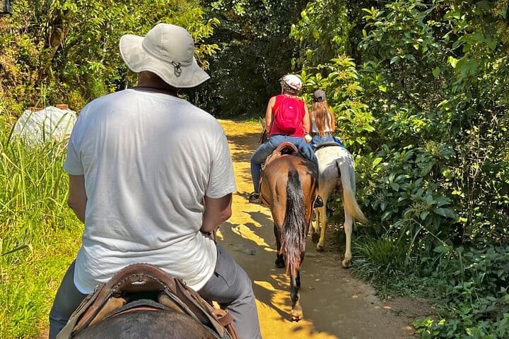 Horseback riding in the Atlantic forest BY PARATY TOURS 4