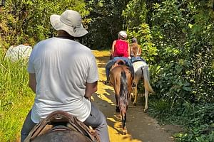 From Paraty: Horseride adventure tour