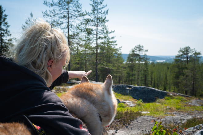 Hiking with Huskies, Husky Park, Siberian Husky, Rovaniemi Lapland