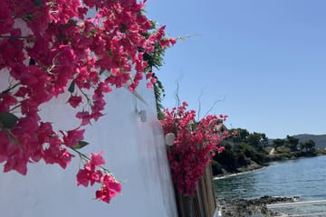 Day Trip to Neos Marmaras with Beach Relaxation from Thessaloniki