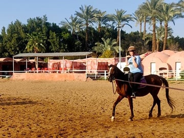 Abusir Horseback Riding Adventure and Fifth Dynasty Pyramids Tour